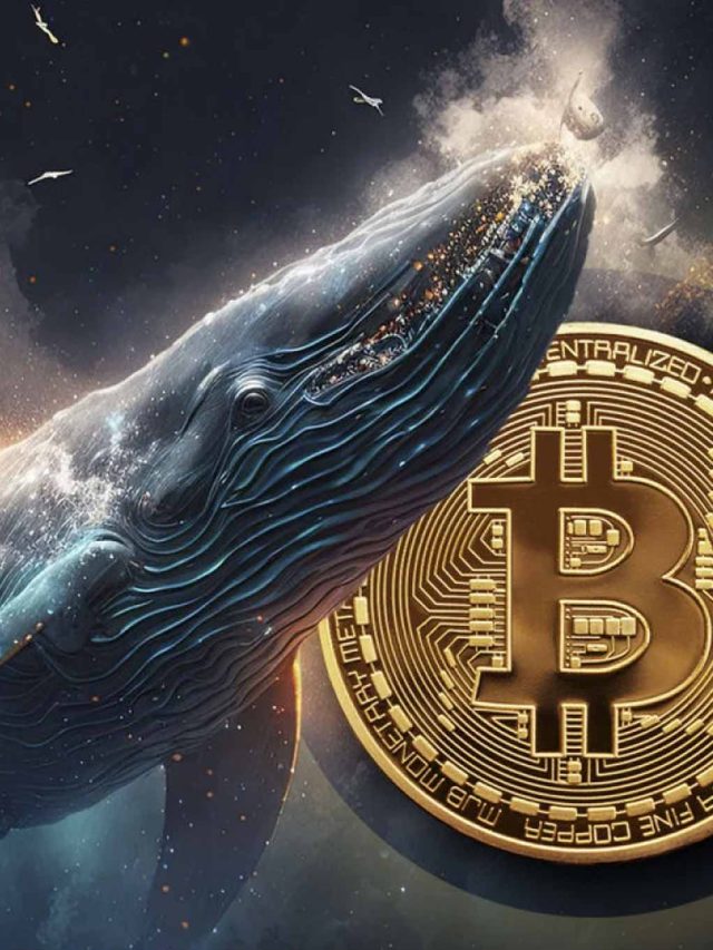 Bitcoin Whales Valued at $7 Billion Amid Price Fall