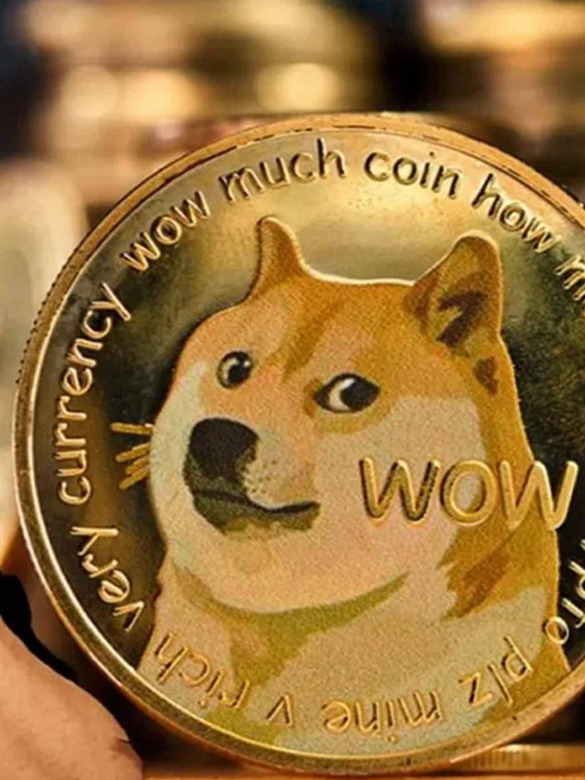 Dogecoin Slips to Tenth Place Despite Positive On-Chain Trends