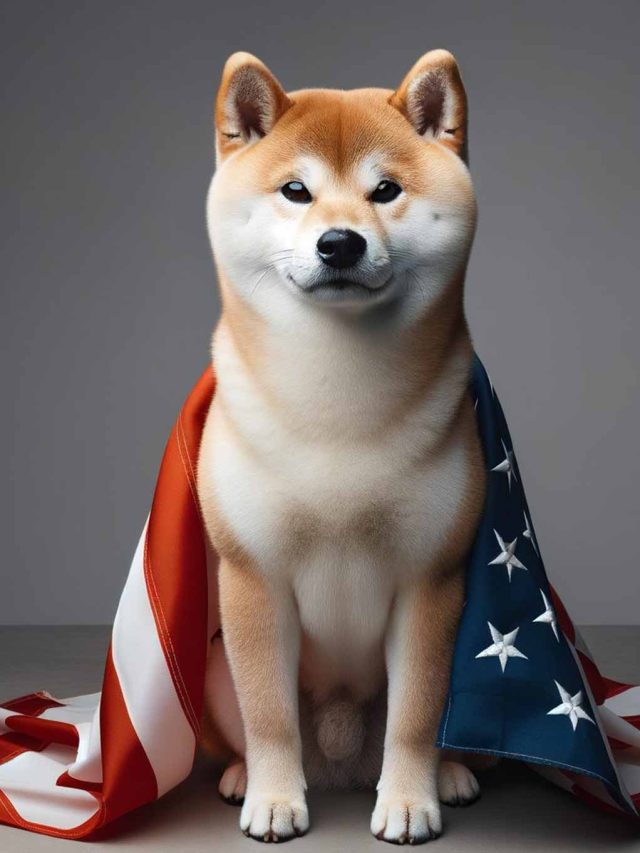 Shiba Inu Emerged as Most Traded Crypto in India