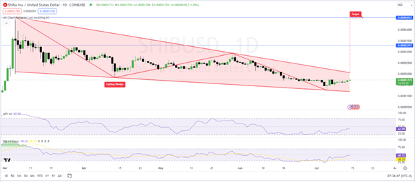 SHIB-USD price chart (source- TradingView)