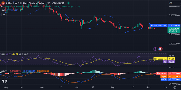 Shiba Inu Price Analysis 