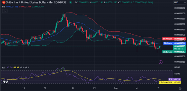 Shiba Inu Price Analysis 