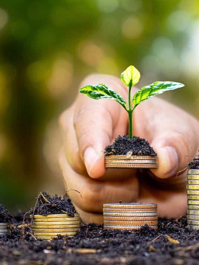 Top Climate Fintech Companies Driving Innovation in 2025
