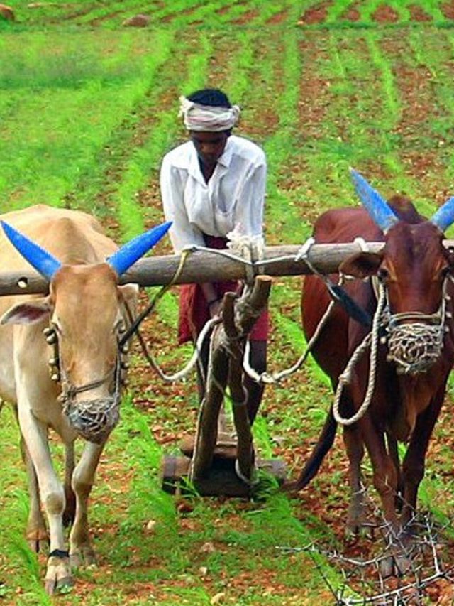PM Kisan Scheme: 5 Things to Know
